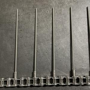 roller chain with extended pin